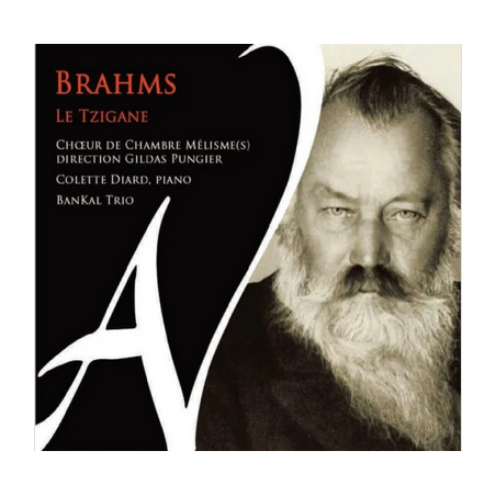 Brahms le tzigane